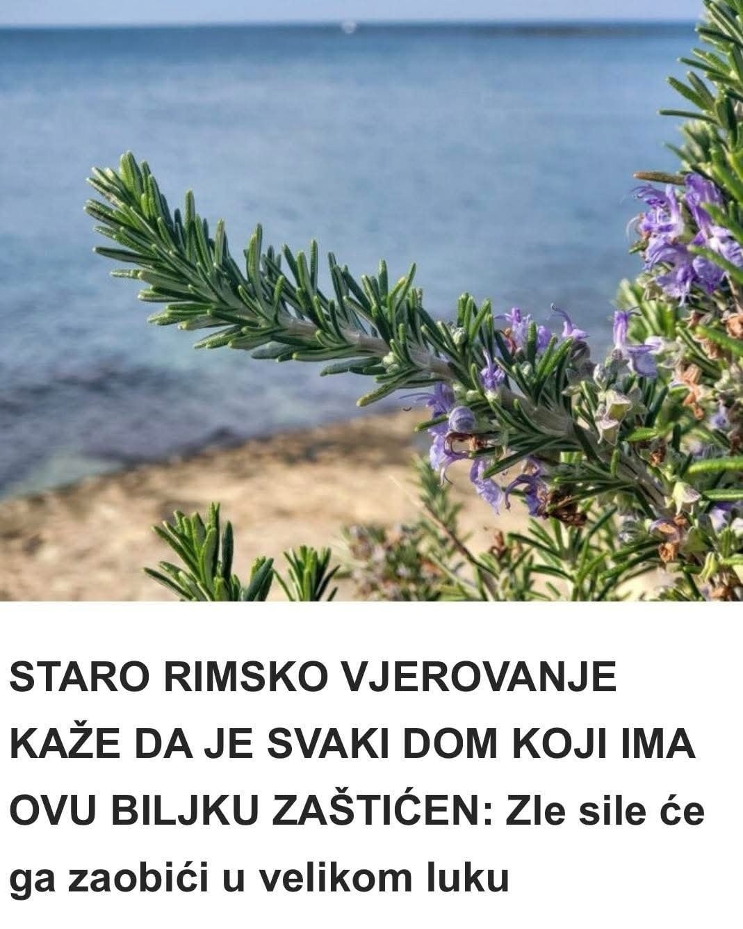 531427033_774035748654353_4873208106664078514_n