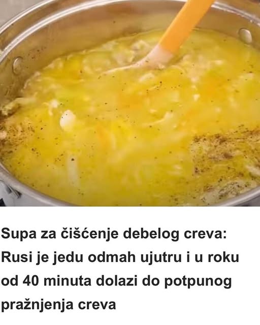 533033083_1345294543823925_6379058984579791751_n