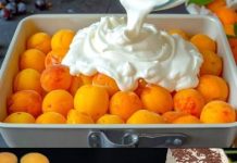 Predobar kolac od kajsija