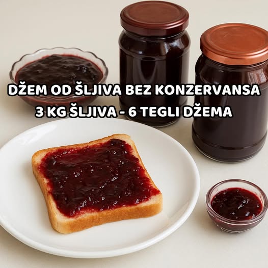 539543290_1359430509076995_7782099434173814945_n