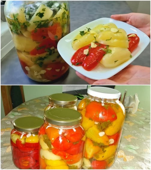 539769468_1356943019325744_5286348697164428442_n