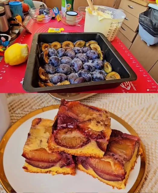 540095298_1085062687115666_6809740390676367787_n