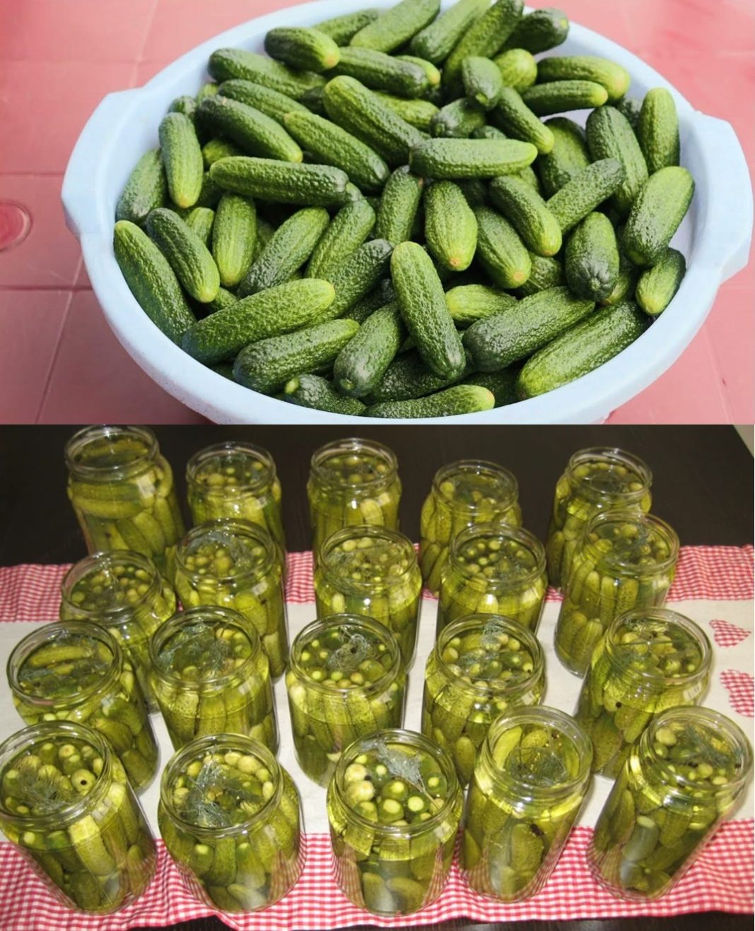 541366778_818276307395081_572381374816791633_n