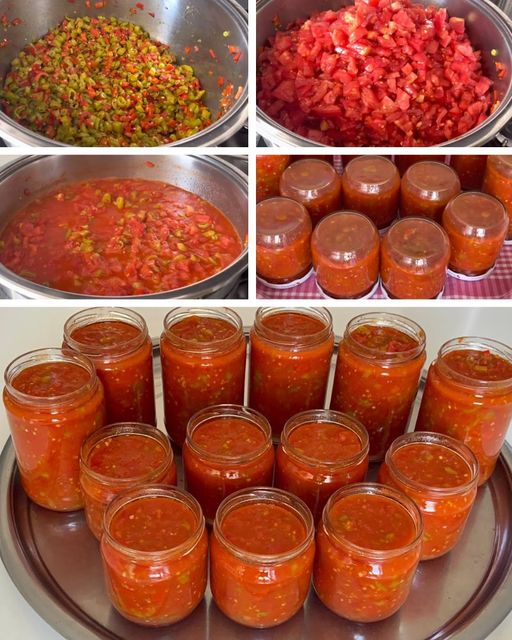 542029073_1365368125149900_2089786029563197452_n