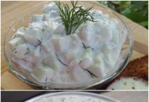 Osvjezavajuca brza salata