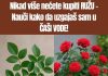 Ne kupuj ruze nego nauci da uzgajas