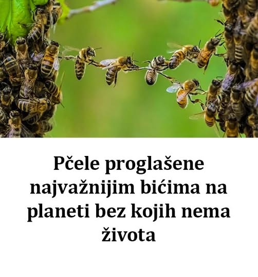 544950739_1366764435010269_292661975077094041_n