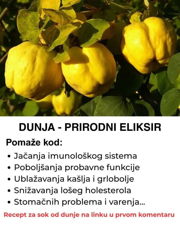 555444604_1382775490075830_7862085366039363629_n