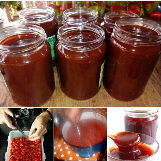 555563166_1385335486486497_6537868876711984795_n