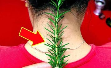 Imala sam bolove u vratu i zglobovima,evo kako mi je ruzmarin pomogao!!