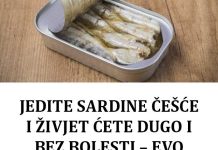 Jedite sardine cesce i zivjet cete dugo bez bolesti