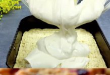 Najbolji čizkejk sa borovnicama!