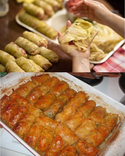 558640769_1387252462961466_8878983783811017214_n