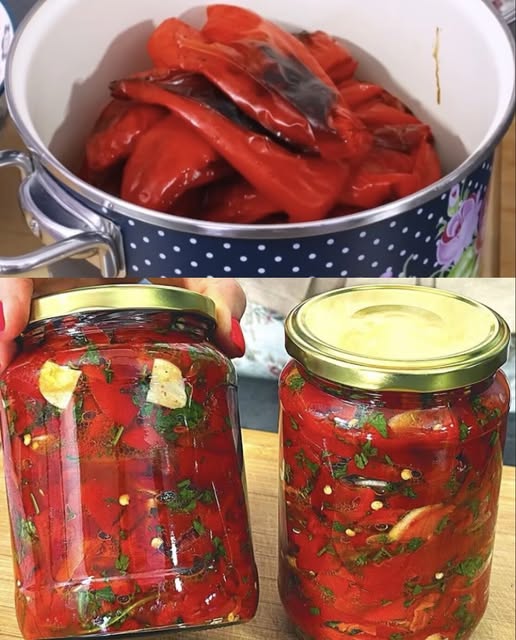 560566895_1396936431993069_869725324588703601_n