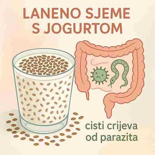 565685475_1404808407872538_3551156354598788723_n