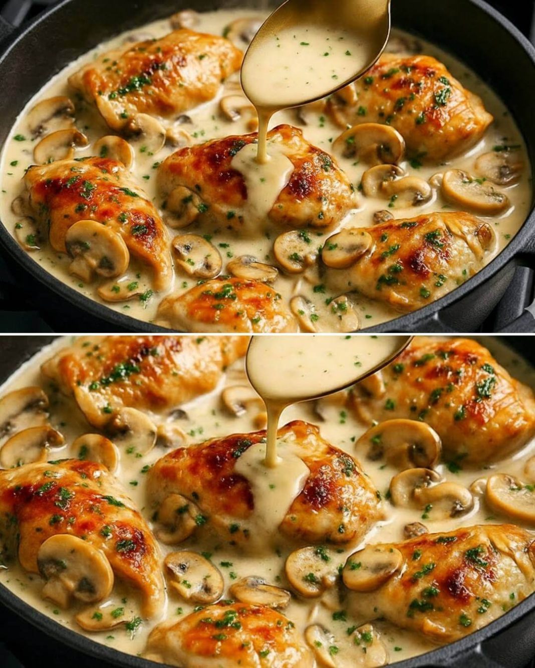 567707028_859766396579405_1482959247358366935_n