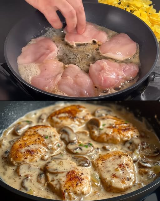 569730329_1408353690851343_490618794062396565_n