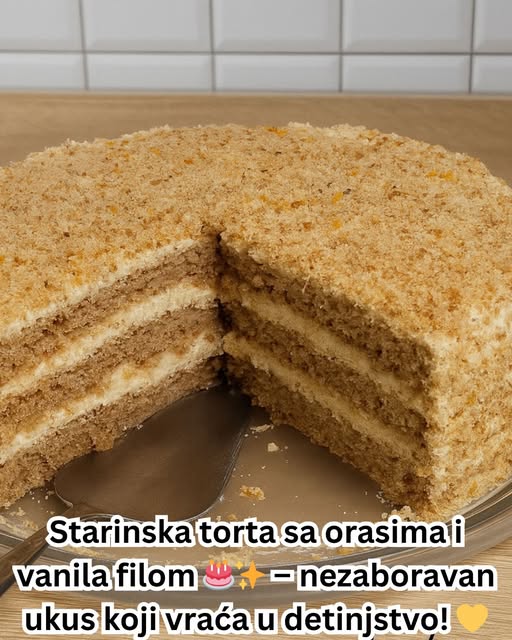 571293090_1410934683926577_4035336768811497661_n