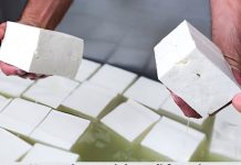 Napravite sami svoj domaci feta sir