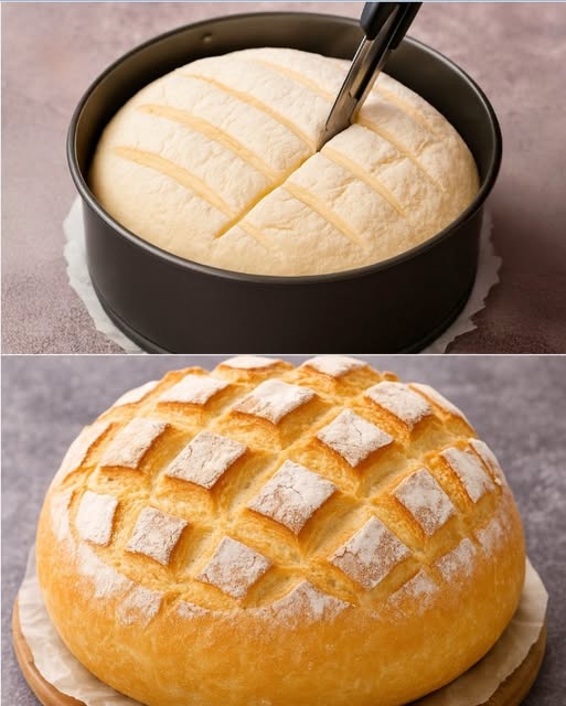 623363300_1486204243066287_4170234754882630427_n