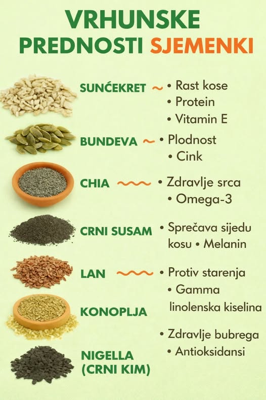 627119341_1488396496180395_2125242047032679050_n