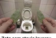 Lovor list neutrašile neugodne mirise za tren!