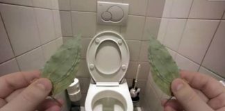 Lovor list neutrašile neugodne mirise za tren!