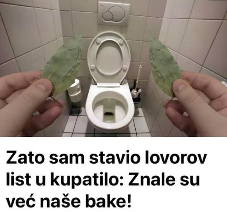 637878469_1215566587398608_9023428346011257172_n