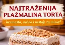 Najtrazenija plazma torta