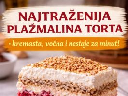 Najtrazenija plazma torta