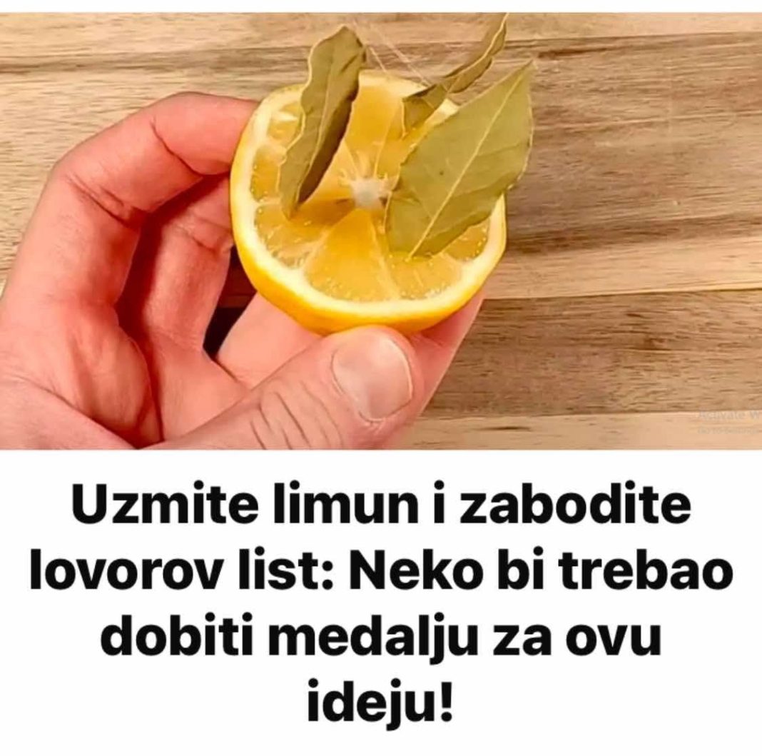 662970465_1254510380170895_8885832360412671619_n