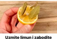Uzmite limun i zabodite u lovor list!!