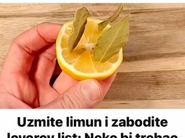 Uzmite limun i zabodite u lovor list!!