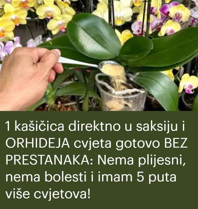 670611106_999941229228587_8073549153511761235_n