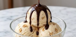 Domaci sladoled sa plazma keksom!!