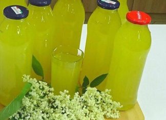 Šokata sirup od zove!