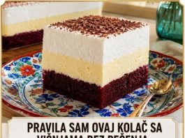 Predivan kolac sa visnjama bez pecenja