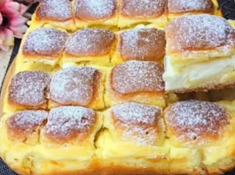 Ovaj recept je za svaku pohvalu