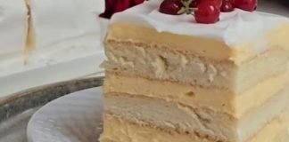 Fantasticna sladoled torta