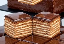 Cokoladna medena torta