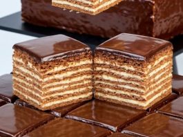 Cokoladna medena torta