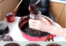 Evo kako spremiti džem od šljiva iz rerne!