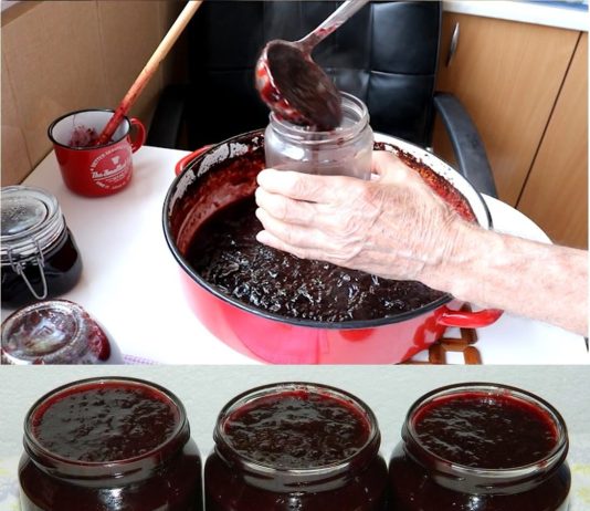 Evo kako spremiti džem od šljiva iz rerne!