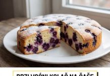 Brzi vocni kolac na case