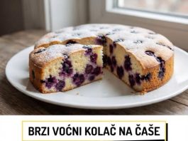Brzi vocni kolac na case