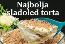 NAjbolja sladoled torta koju ćete probati!