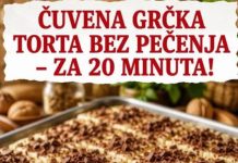 Čuvena grčka torta bez pečenja gotova za 20 minuta!