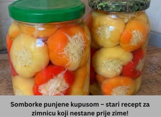 Somborke punjene kupusom