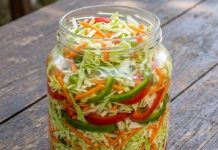 Miješana šarena salata