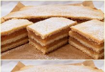 Kolač s jabukama i prhkim tijestom – tradicionalni recept za sočan domaći kolač